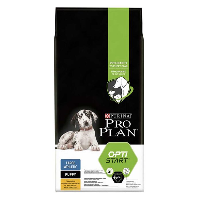 pro plan dry dog food