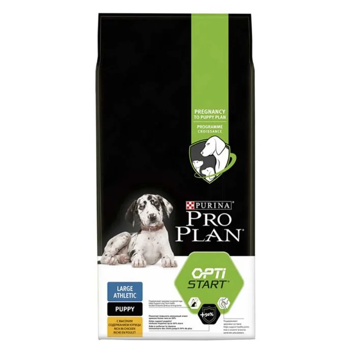 pro plan dry dog food